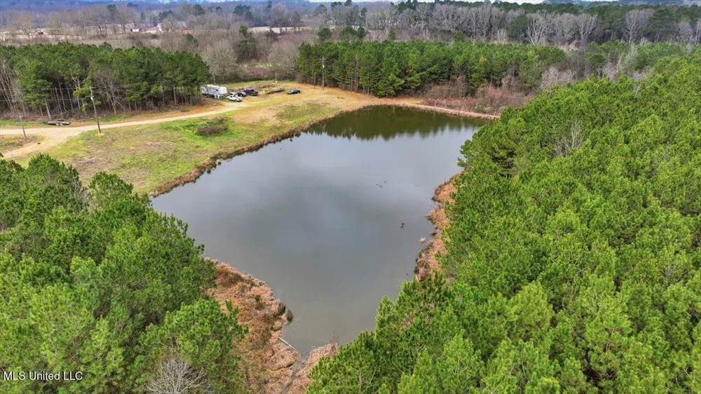 4603 Mississippi 28 Mize, MS 39116