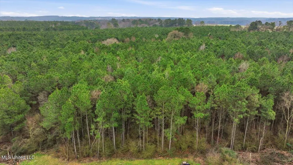 4603 Mississippi 28 Mize, MS 39116