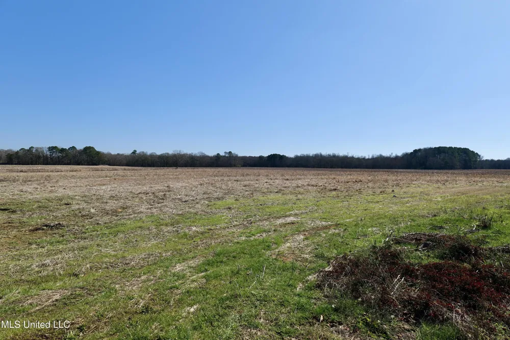 02 E Main Street Carthage, MS 39051