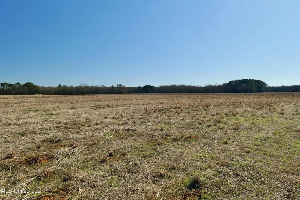 02 E Main Street Carthage, MS 39051