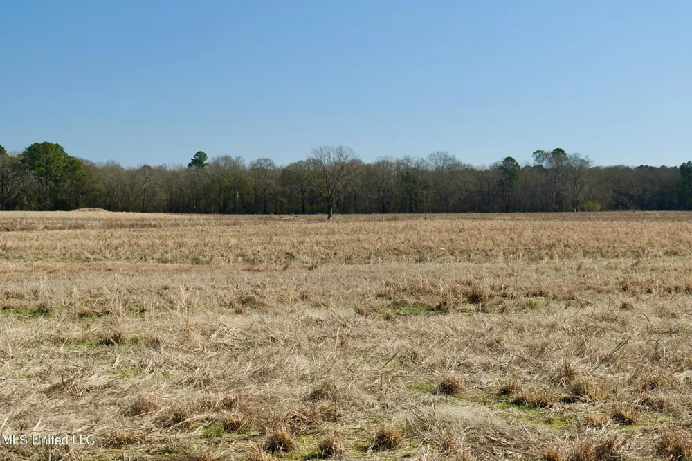02 E Main Street Carthage, MS 39051
