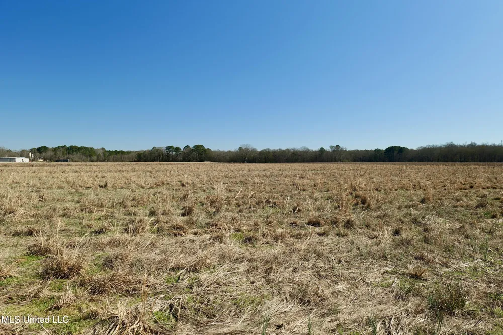 02 E Main Street Carthage, MS 39051