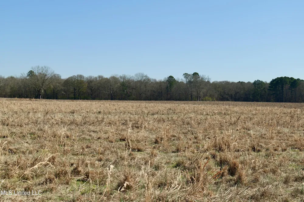 02 E Main Street Carthage, MS 39051