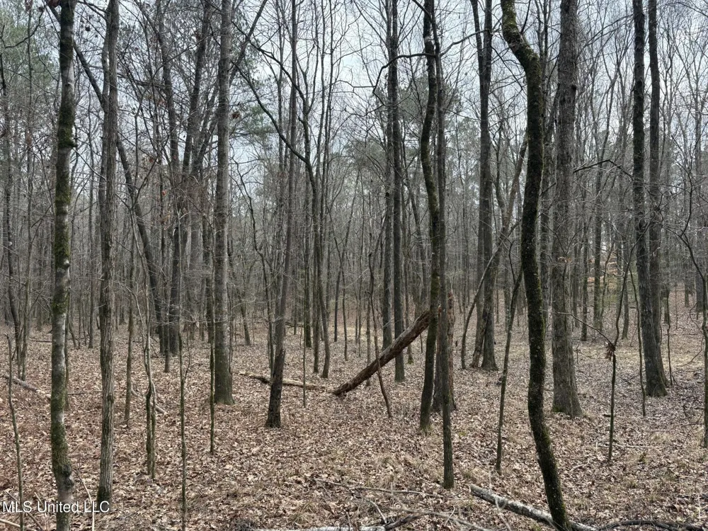County Road 2211 Kosciusko, MS 39090