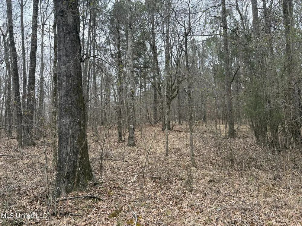 County Road 2211 Kosciusko, MS 39090
