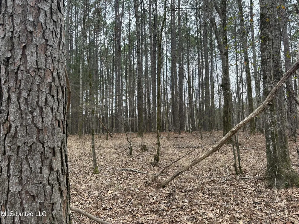 County Road 2211 Kosciusko, MS 39090