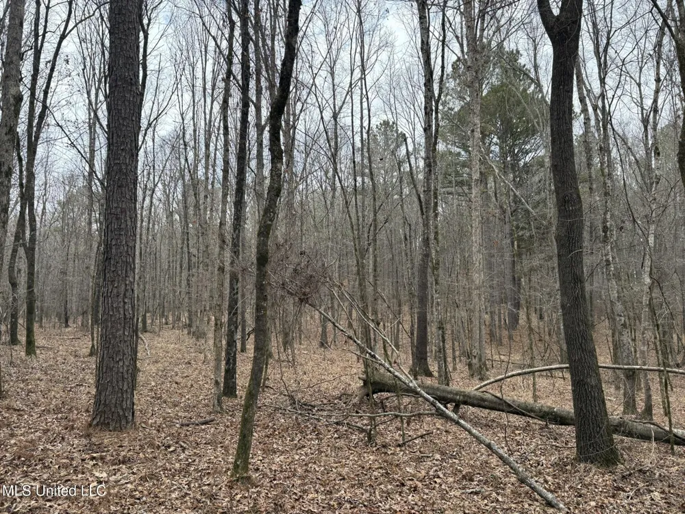 County Road 2211 Kosciusko, MS 39090