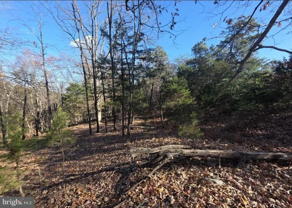 LOT 13 YEAGER CT. Petersburg, WV 26847