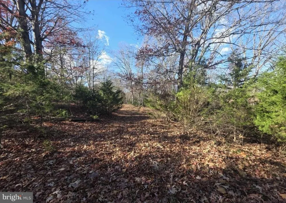 LOT 13 YEAGER CT. Petersburg, WV 26847