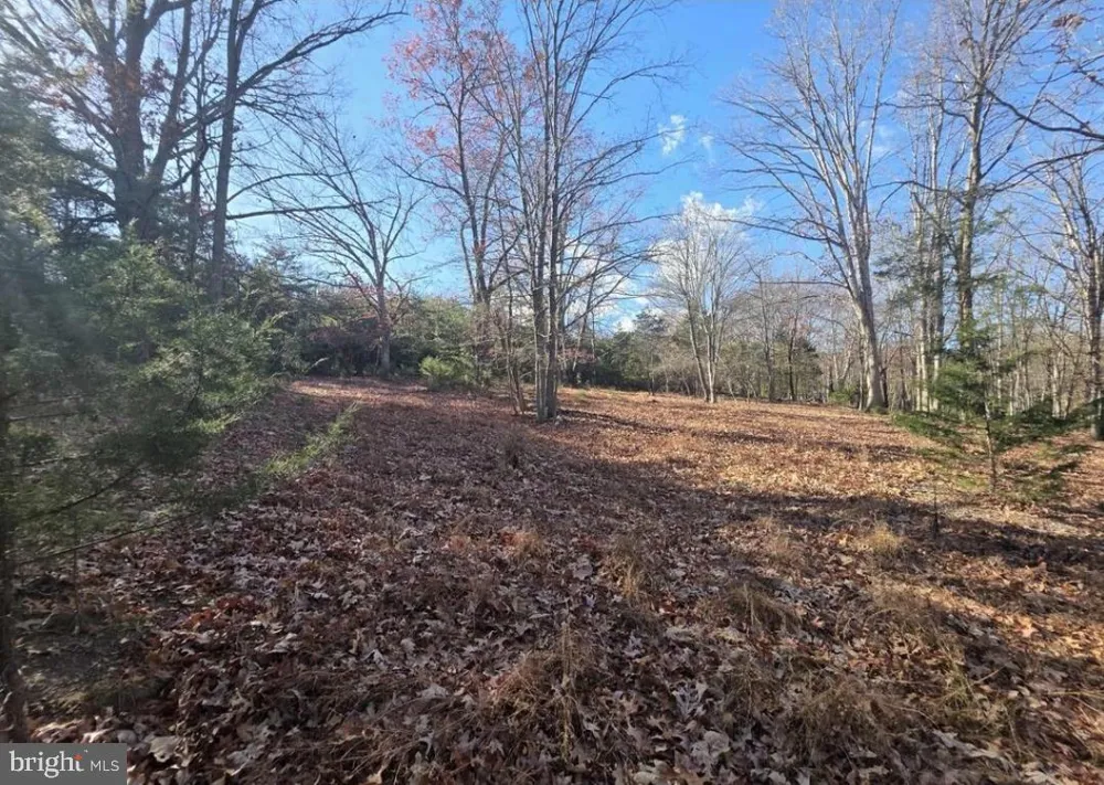 LOT 13 YEAGER CT. Petersburg, WV 26847