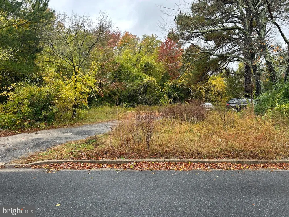 1028 DELAWARE AVENUE Salisbury, MD 21801