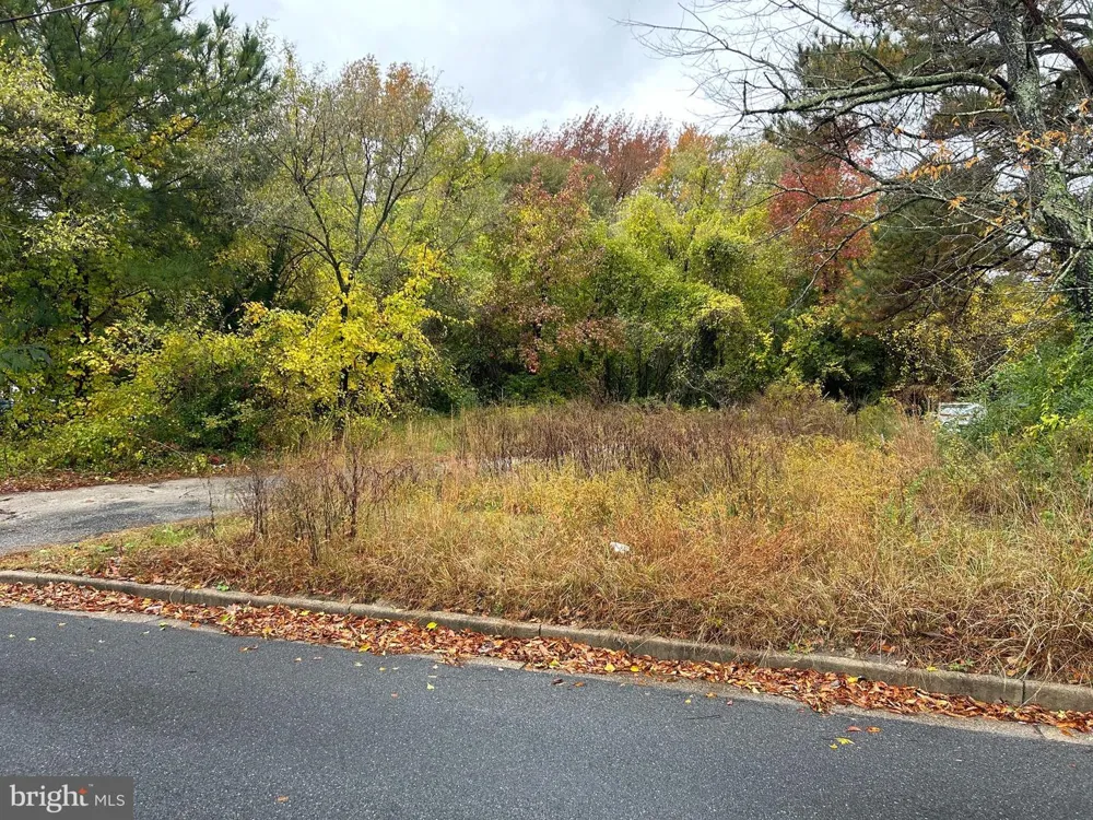 1028 DELAWARE AVENUE Salisbury, MD 21801