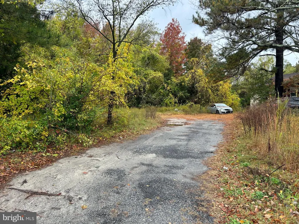 1028 DELAWARE AVENUE Salisbury, MD 21801