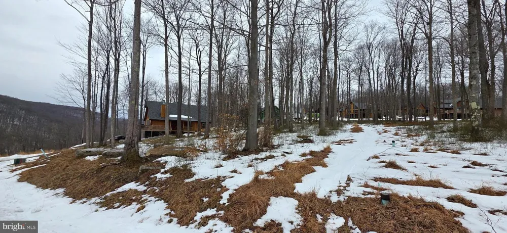 FORK RUN TRAIL #50 Mc Henry, MD 21541