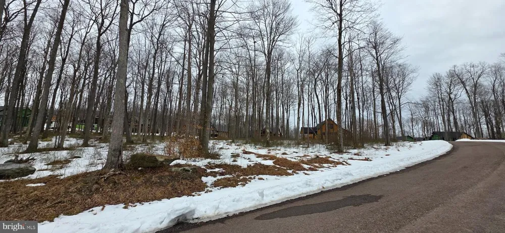 FORK RUN TRAIL #50 Mc Henry, MD 21541