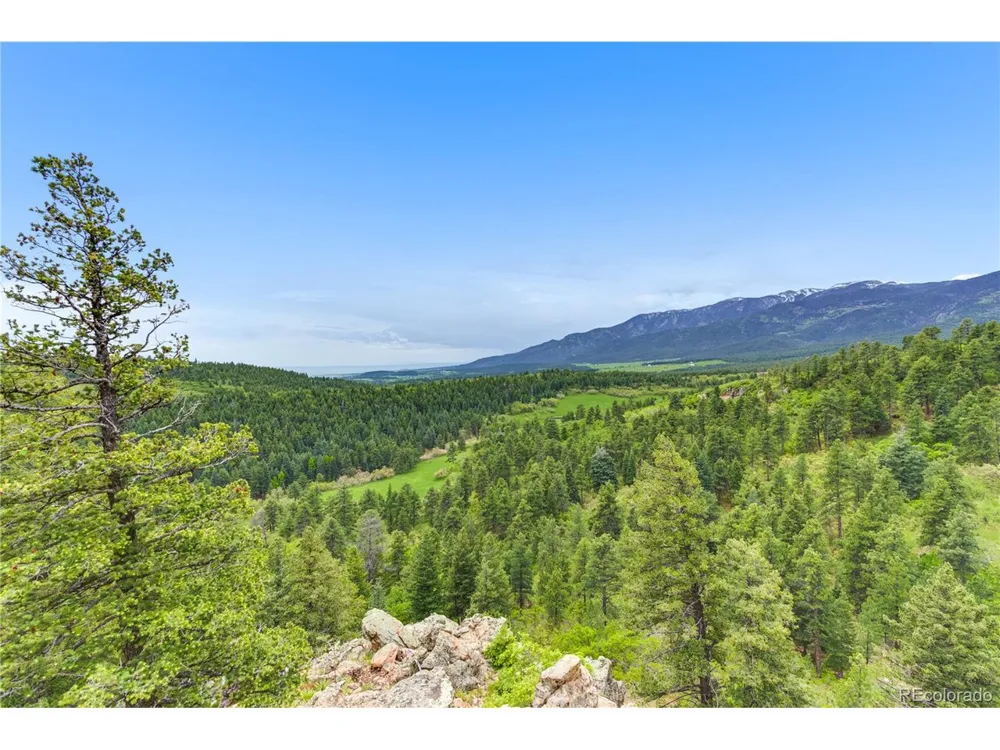 8834 Deiffendeffer Road Rye, CO 81069