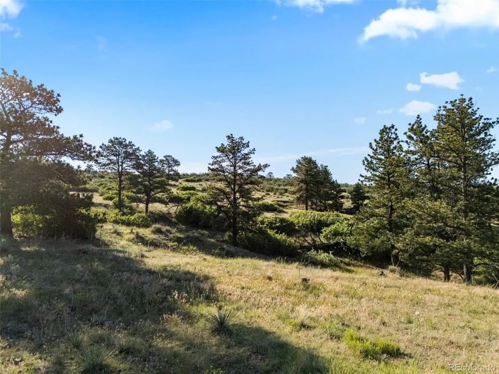 13500 Pine Drive Parker, CO 80138