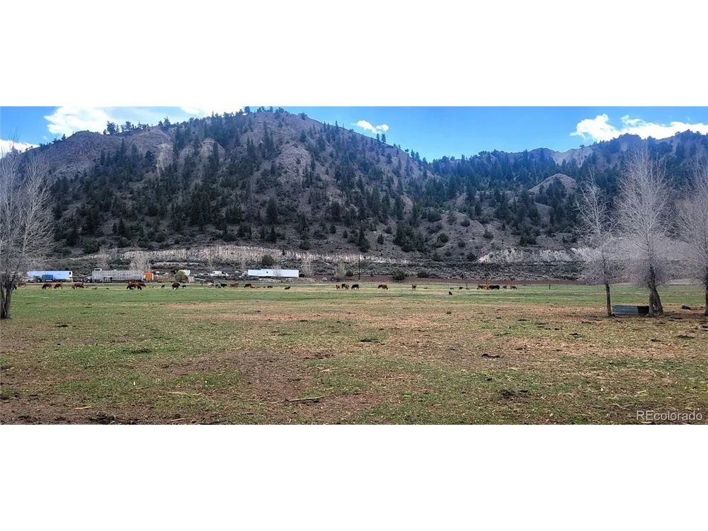 411 Violet Lane Eagle, CO 81631