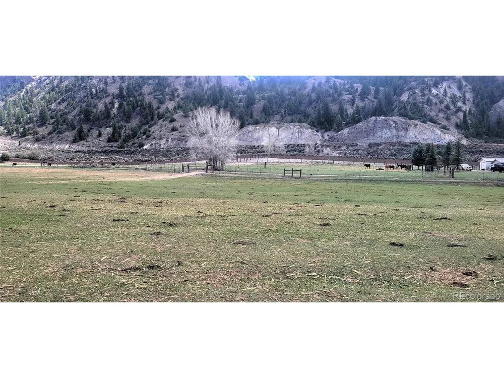 411 Violet Lane Eagle, CO 81631