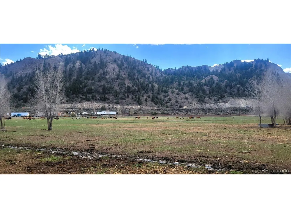 411 Violet Lane Eagle, CO 81631