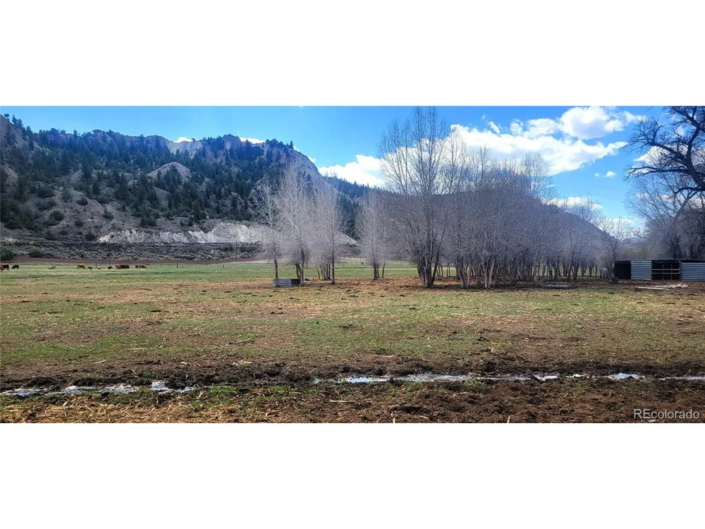 411 Violet Lane Eagle, CO 81631