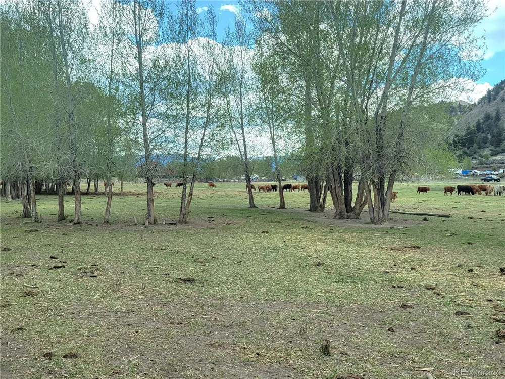 411 Violet Lane Eagle, CO 81631