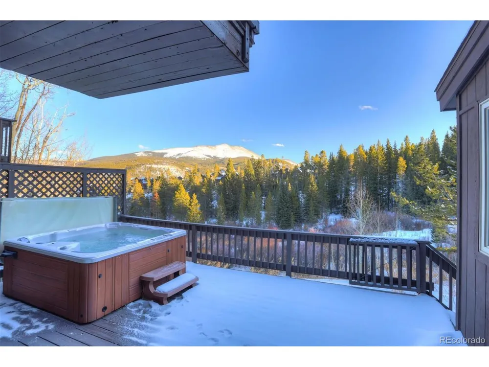 965 Four Oclock Road Breckenridge, CO 80424