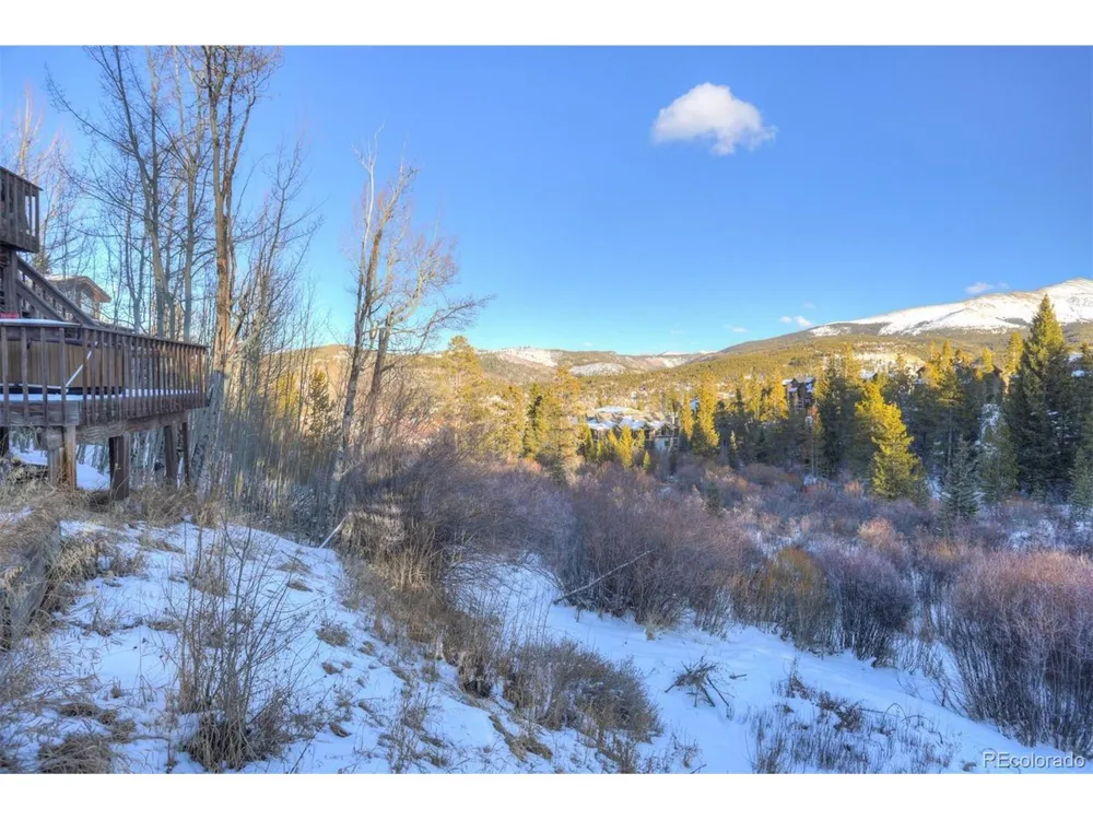 965 Four Oclock Road Breckenridge, CO 80424