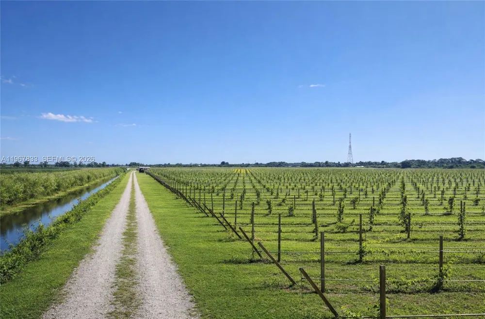 595 HEADER CANAL ROAD #0 Fort Pierce, FL 34945
