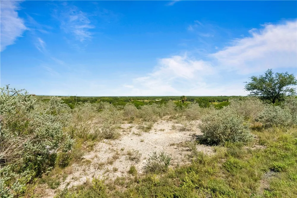 Carmel Dr. Sandia, TX 78383