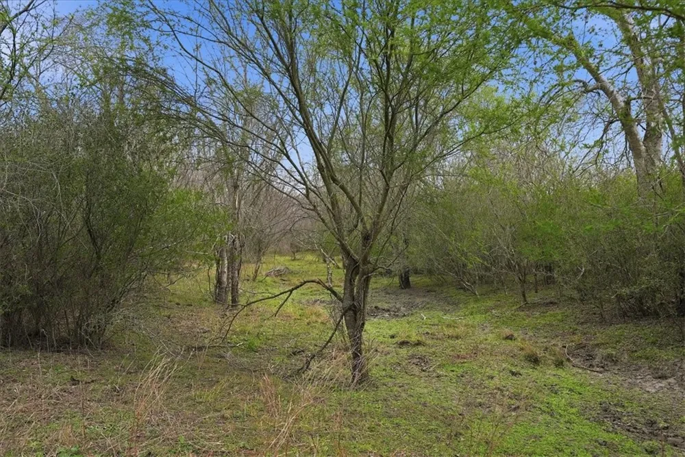 817 County Road 119 Alice, TX 78332
