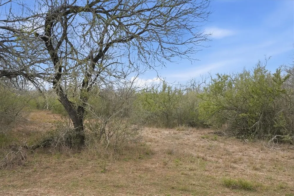 817 County Road 119 Alice, TX 78332