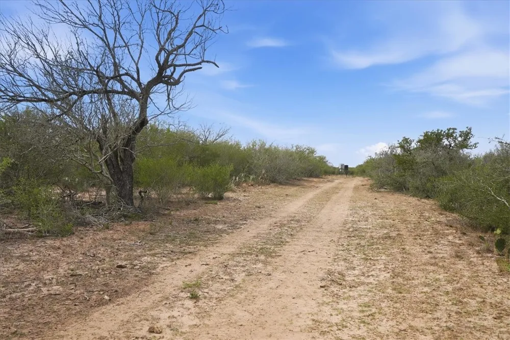 817 County Road 119 Alice, TX 78332