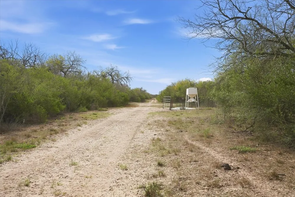 817 County Road 119 Alice, TX 78332