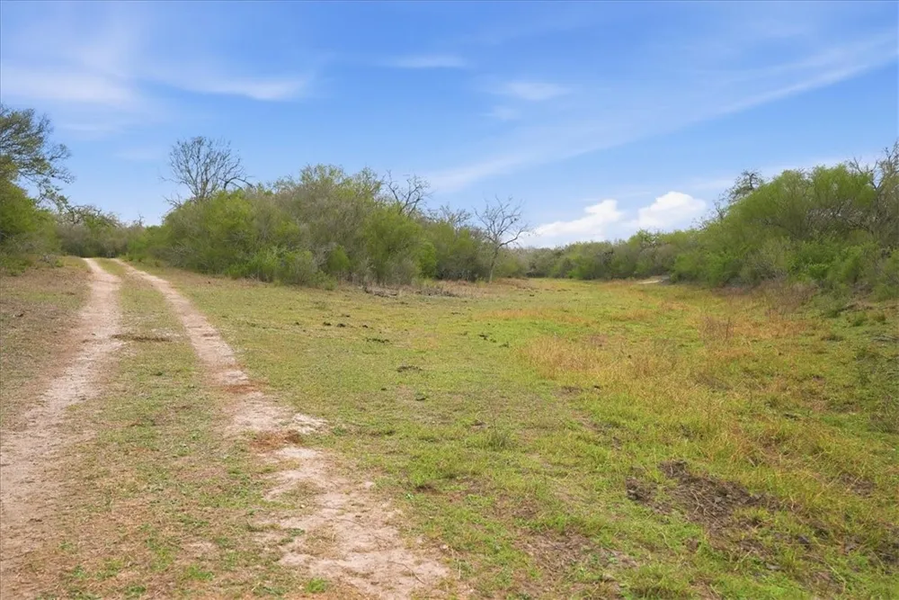 817 County Road 119 Alice, TX 78332
