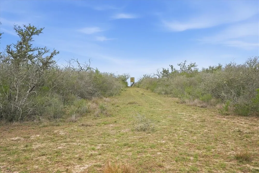 817 County Road 119 Alice, TX 78332