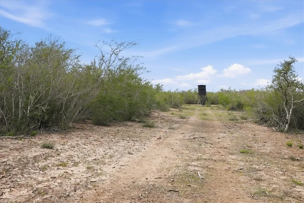 817 County Road 119 Alice, TX 78332