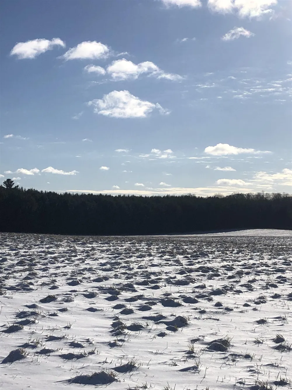 M-72 Excelsior Township, MI 49646