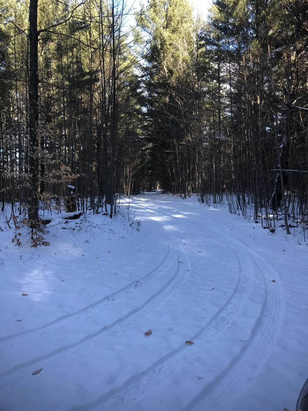 M-72 Excelsior Township, MI 49646