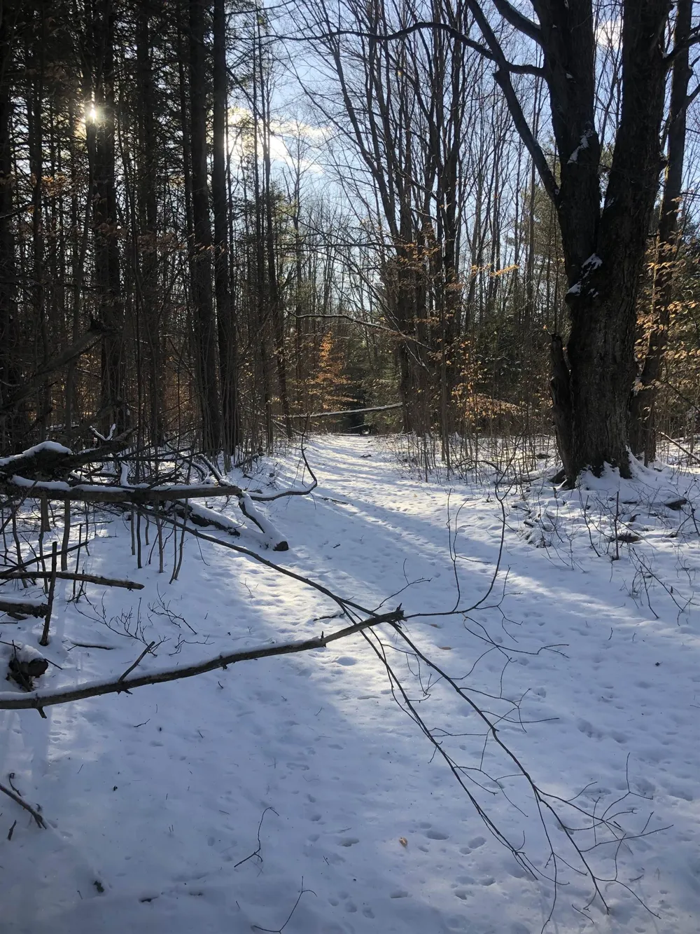 M-72 Excelsior Township, MI 49646