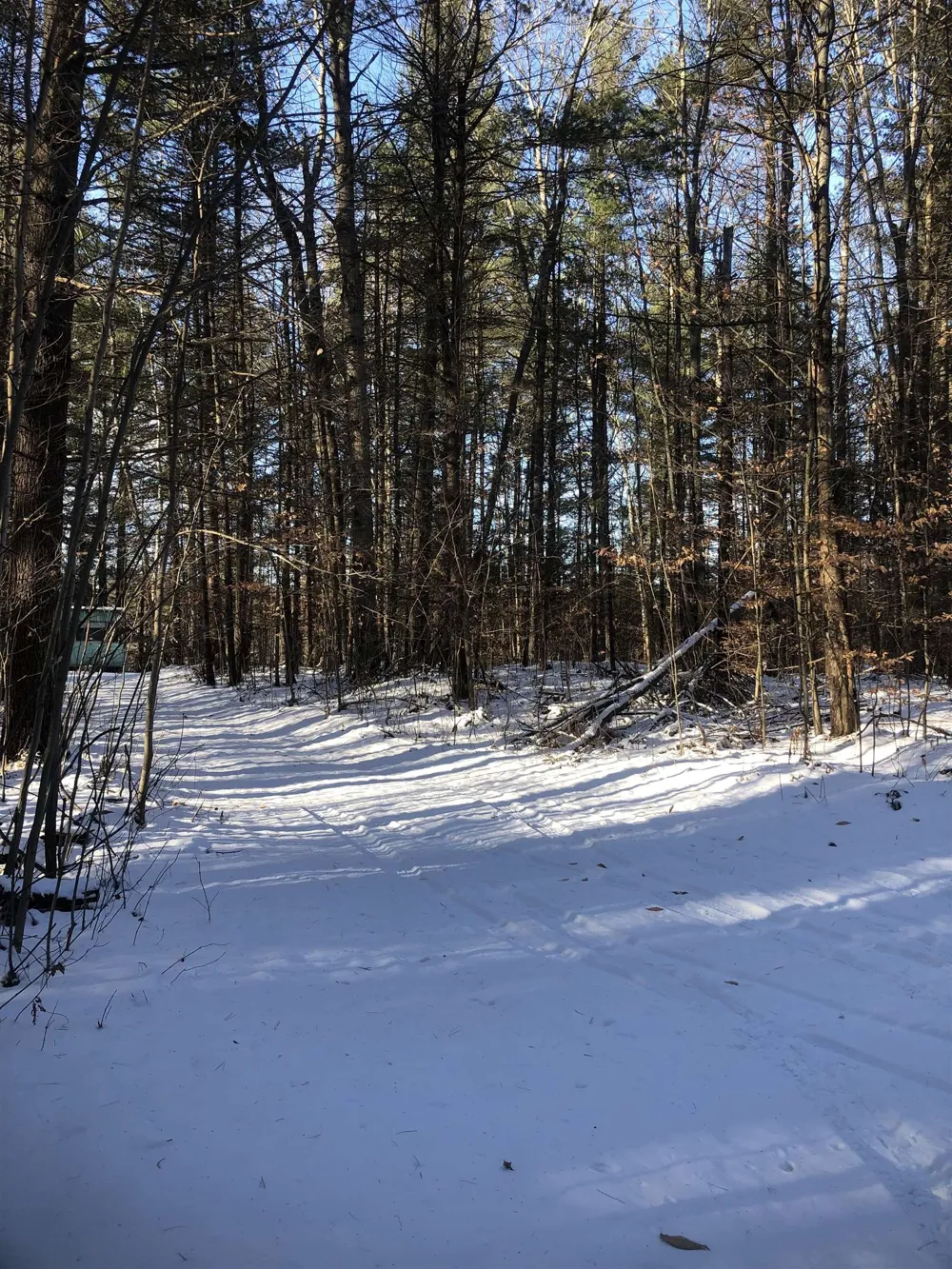 M-72 Excelsior Township, MI 49646