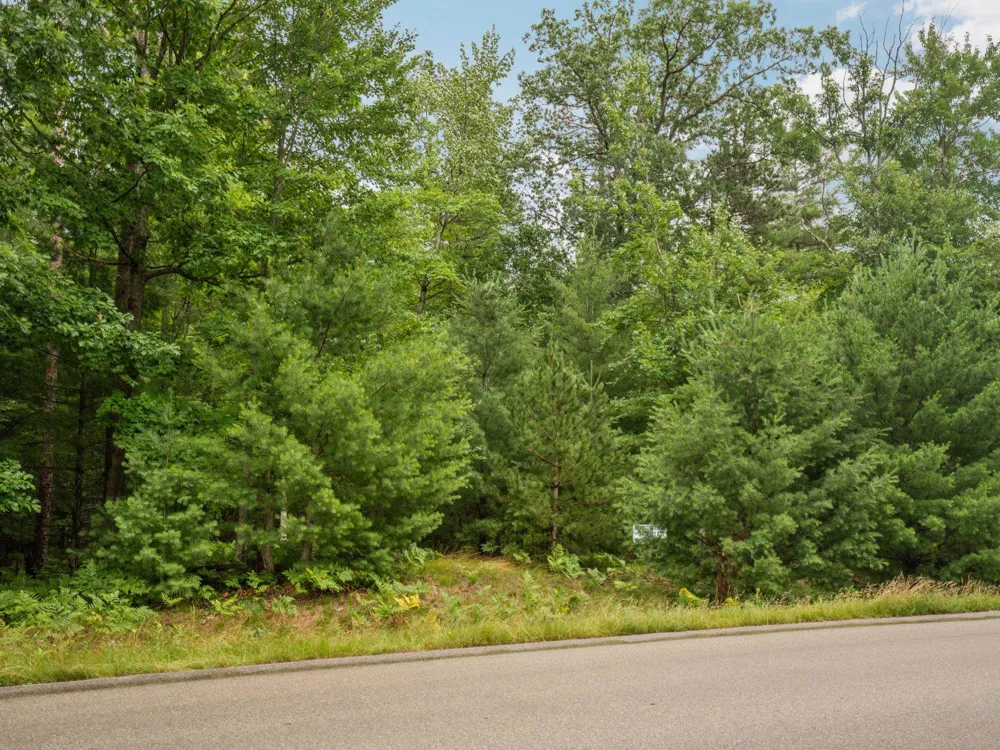 Business Park Drive East Bay Township, MI 49686