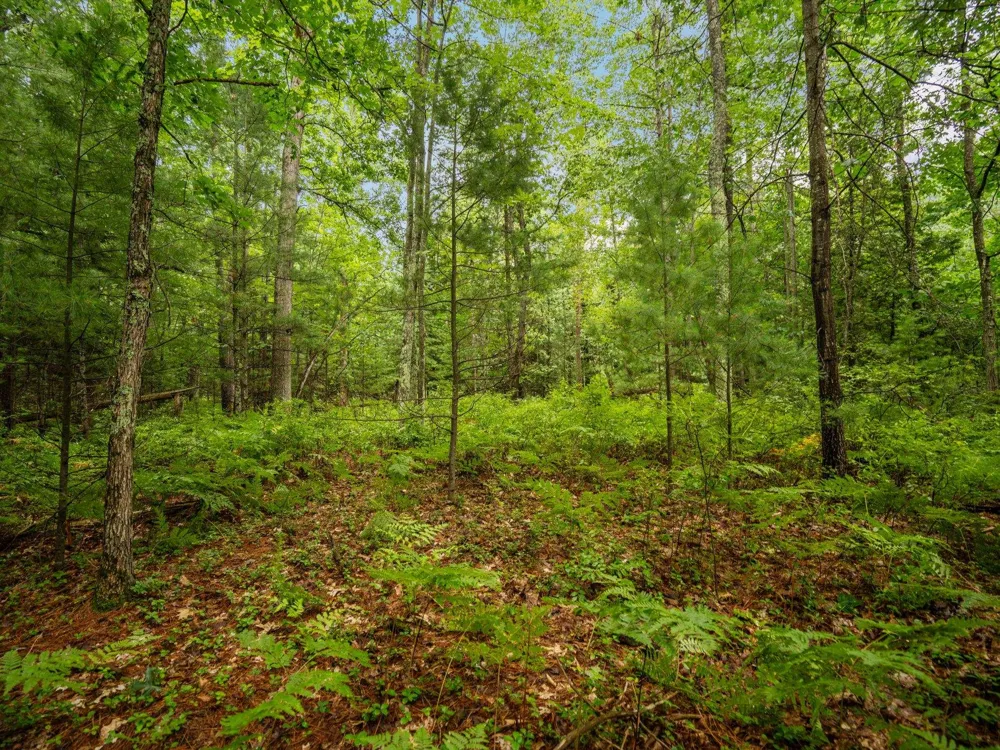 Business Park Drive East Bay Township, MI 49686