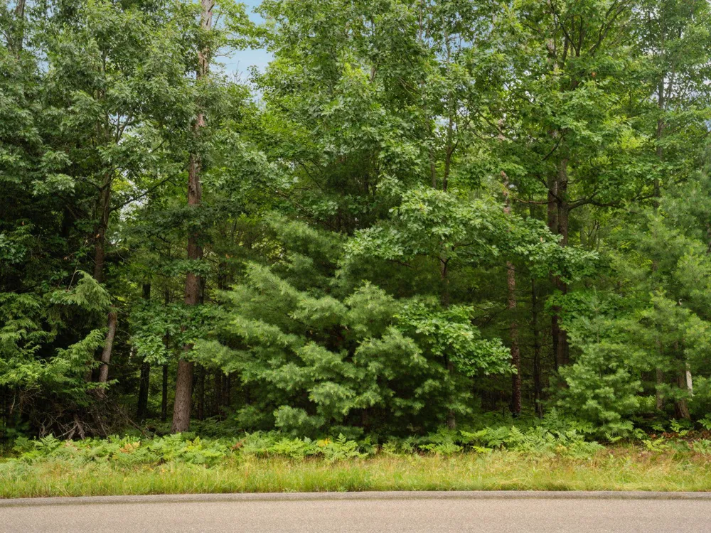 Business Park Drive East Bay Township, MI 49686
