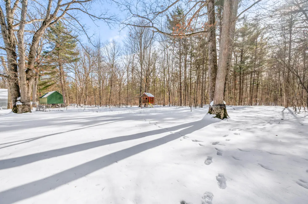 19077 12 Mile Road Mecosta Township, MI 49307