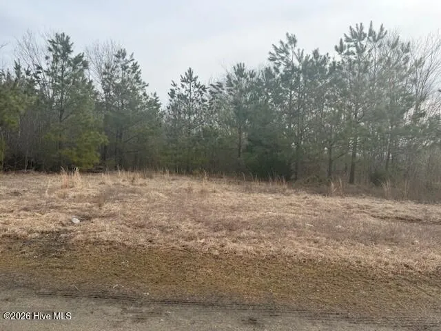 Tbd Carter Street Woodland, NC 27897