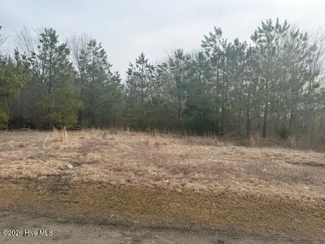 Tbd Carter Street Woodland, NC 27897