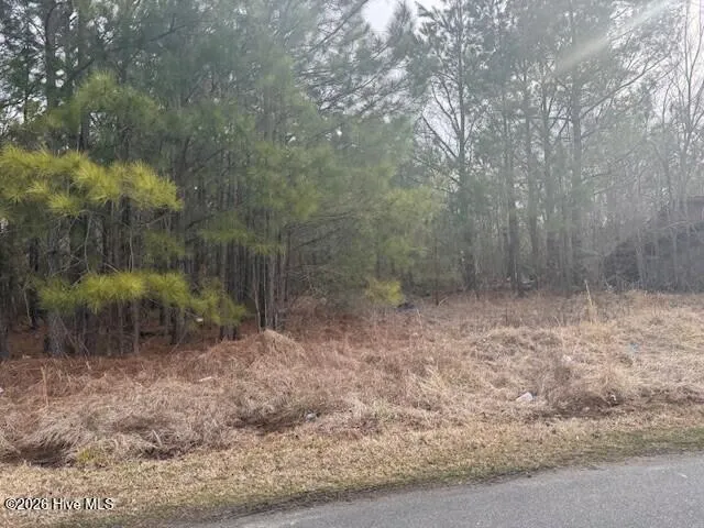 Tbd Carter Street Woodland, NC 27897