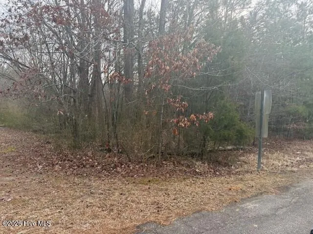 Tbd Carter Street Woodland, NC 27897
