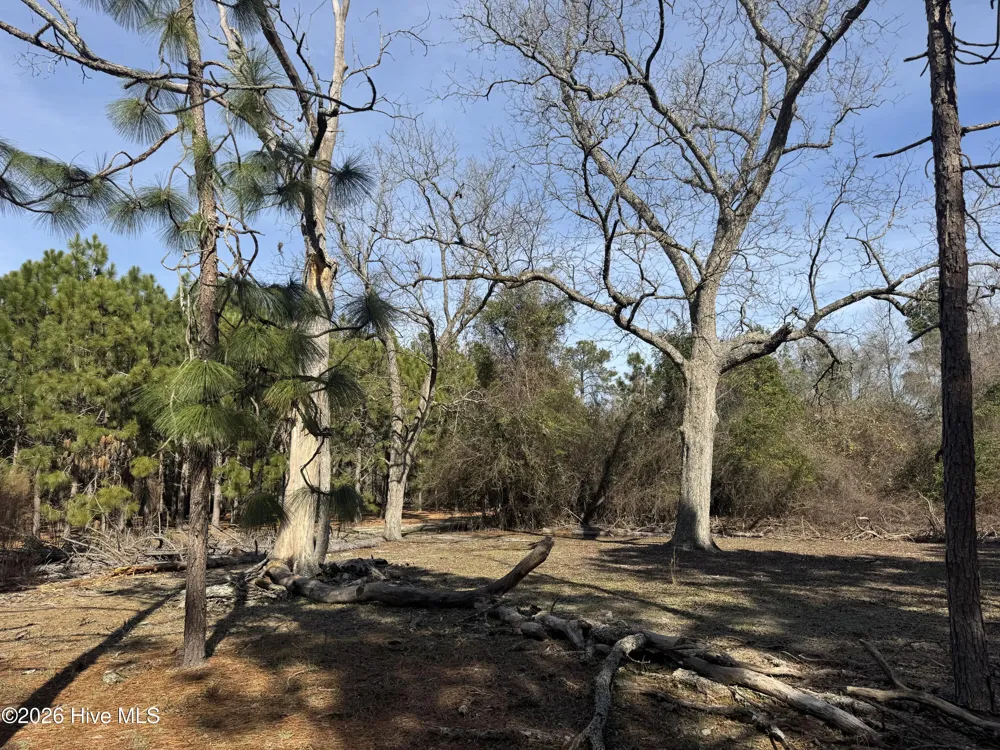 0 Butler Mill Road Bladenboro, NC 28320